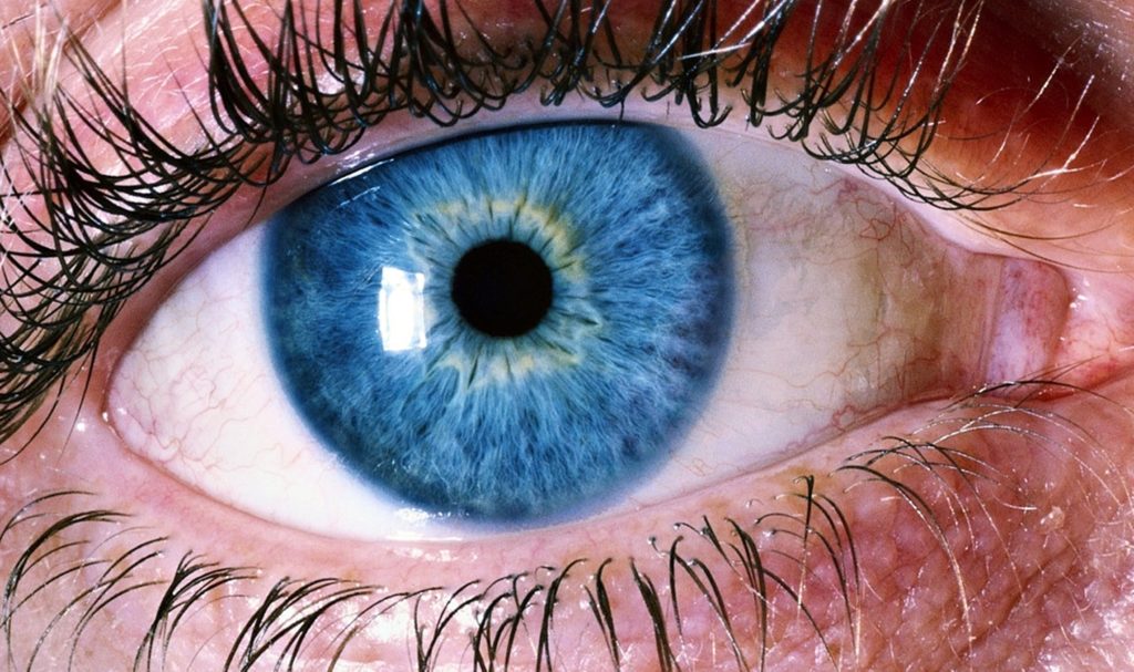 Close-in photo of person's eye.